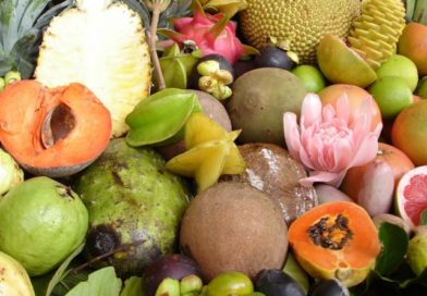 Imbunatateste-ti nutritia cu fiecare imbucatura!